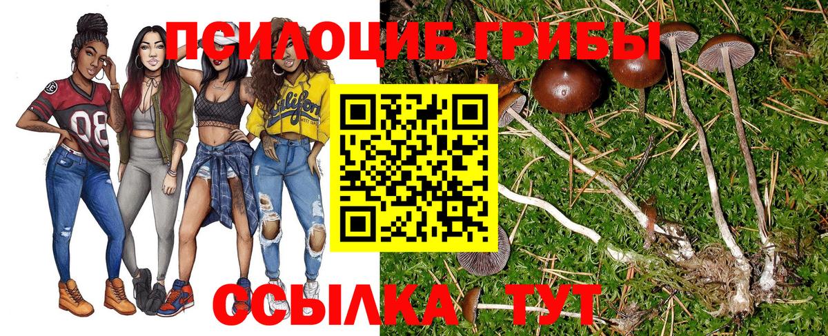 Галлюциногенные грибы MAGIC MUSHROOMS  Галлюциногенные грибы мухоморы  купить наркотик  Владикавказ  Вход с VPN 