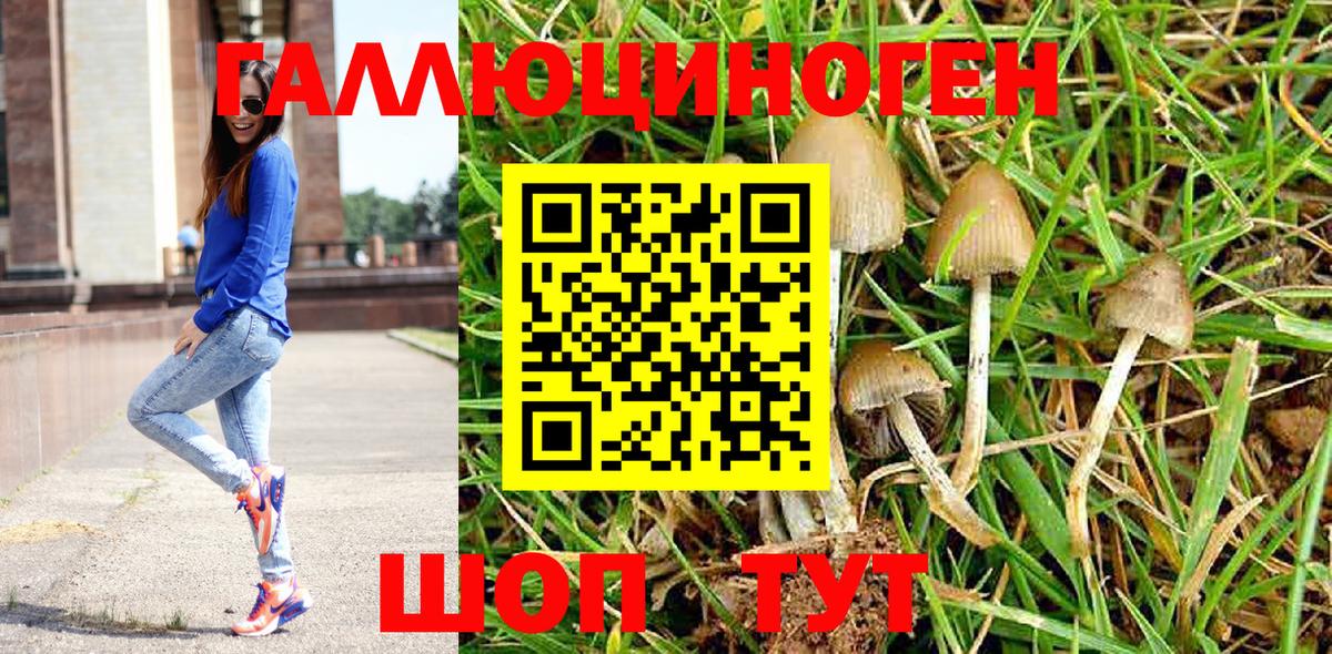 Галлюциногенные грибы Cubensis Владикавказ